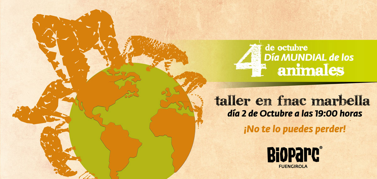 Taller día 2 de octubre de BIOPARC en la Fnac de Parque Comercial la Cañada, Marbella